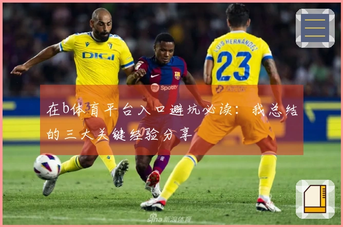 在b体育平台入口避坑必读：我总结的三大关键经验分享
