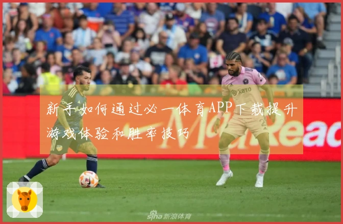 新手如何通过必一体育APP下载提升游戏体验和胜率技巧